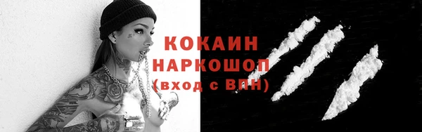 винт Абаза