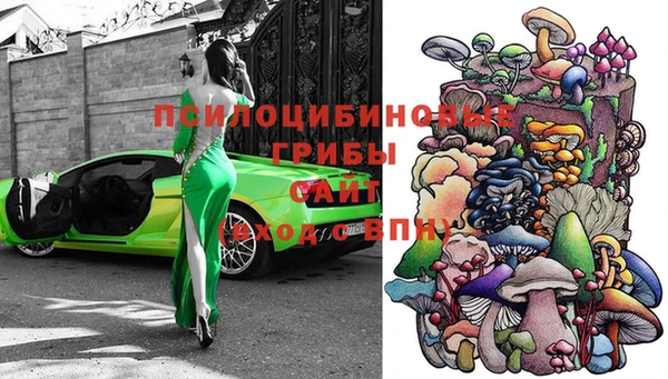 винт Абаза