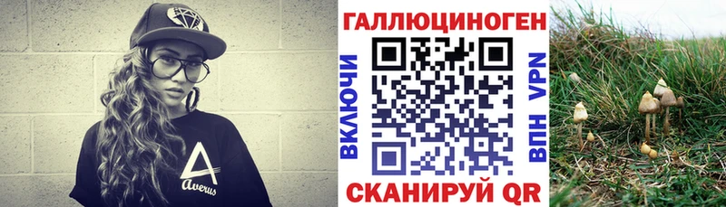 Галлюциногенные грибы мицелий  МЕГА ссылка  Монино  купить наркотики сайты 